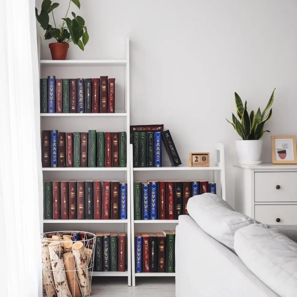 Book Shelves