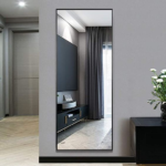 Aster Frame Mirror